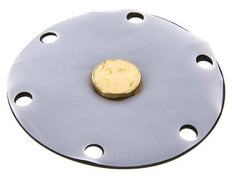 Replacement Diaphragm Gases and Liquids PTFE/NBR 1'' Brass