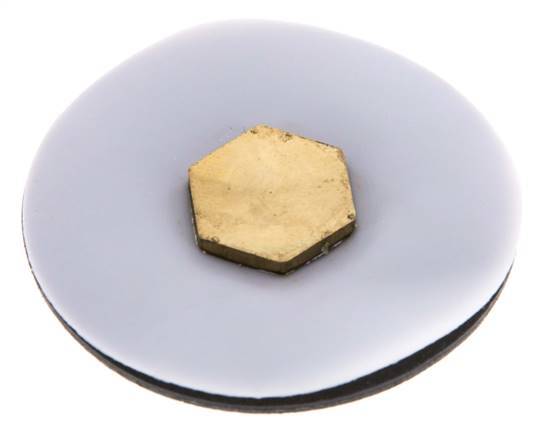 Replacement Diaphragm Gases and Liquids PTFE/NBR 1/4'' Brass