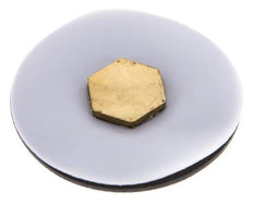 Replacement Diaphragm Gases and Liquids PTFE/NBR 1/4'' Brass