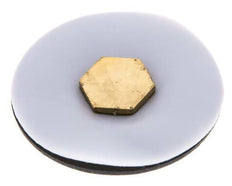 Replacement Diaphragm Gases and Liquids PTFE/NBR 1/4'' Brass