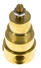 Pressure Regulator G1/4'' 330 l/min 0.1-1.5bar/1-22psi Brass Gases Liquids