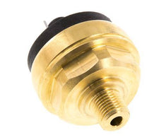 0.2 to 2bar NO Brass Pressure Switch M10 42VAC/DC Flat Connector