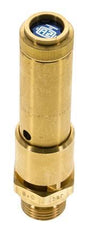 G 1/2'' Brass Pre-Set Safety Valve 11.9 bar (172.6 psi) DN 10