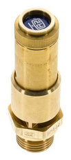G 1/2'' Brass Pre-Set Safety Valve 2.8 bar (40.61 psi) DN 10