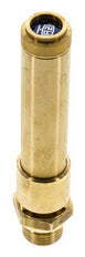 G 1/2'' Brass Pre-Set Safety Valve 41 bar (594.66 psi) DN 10