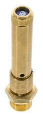 G 3/4'' Brass Pre-Set Safety Valve 42 bar (609.17 psi) DN 10