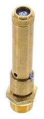 G 3/4'' Brass Pre-Set Safety Valve 42 bar (609.17 psi) DN 10