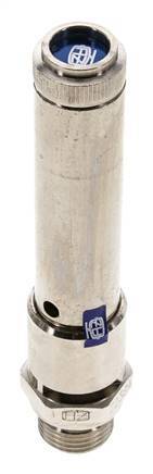 G 1/2'' Nickel-plated Brass Pre-Set Safety Valve 47 bar (681.69 psi) DN 10