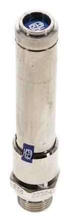 G 1/2'' Nickel-plated Brass Pre-Set Safety Valve 47 bar (681.69 psi) DN 10