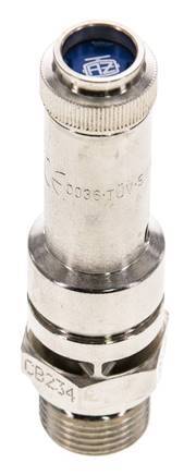G 3/8'' Nickel-plated Brass Pre-Set Safety Valve 6 bar (87.02 psi) DN 8