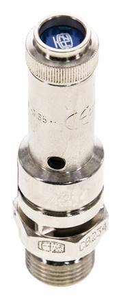 G 3/8'' Nickel-plated Brass Pre-Set Safety Valve 6 bar (87.02 psi) DN 8