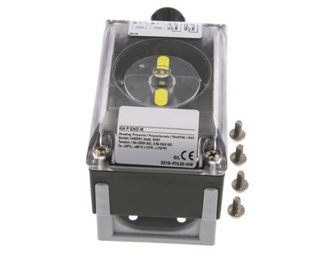 Standard Limit Switch Box DPDT Micro Switch 250VAC/10A - 12-250VDC/2.5A