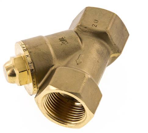 Rp 3/4'' Brass Y Check Valve 10 bar (145 psi) NBR